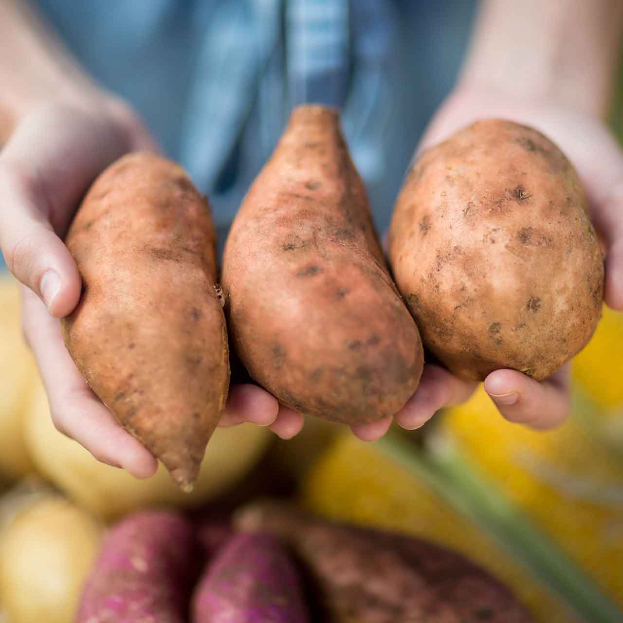 Suesskartoffeln